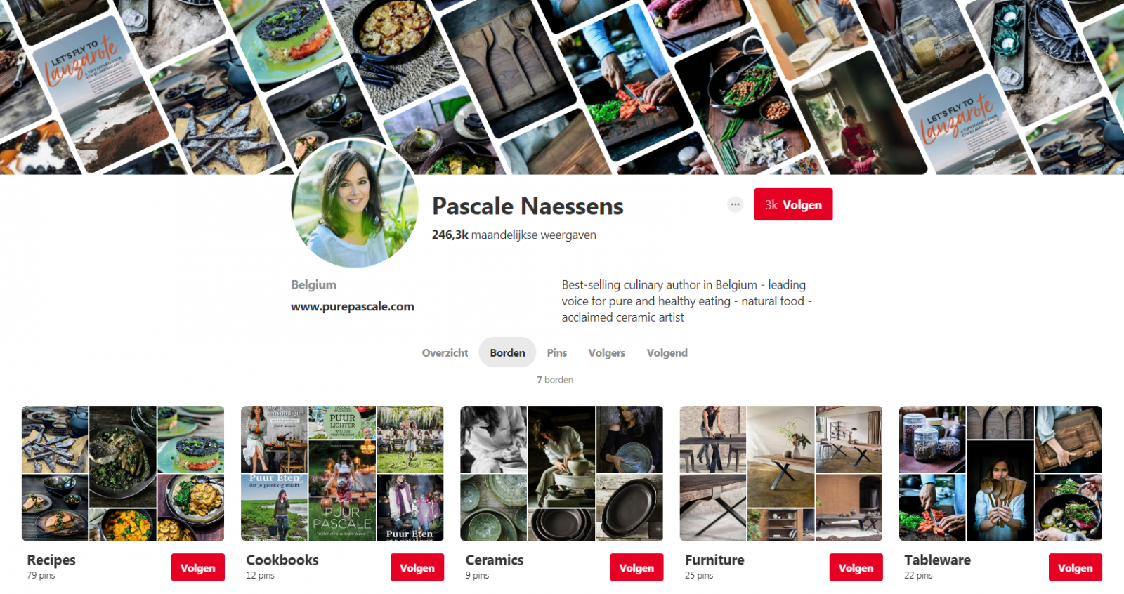 pinterest pascale naessens